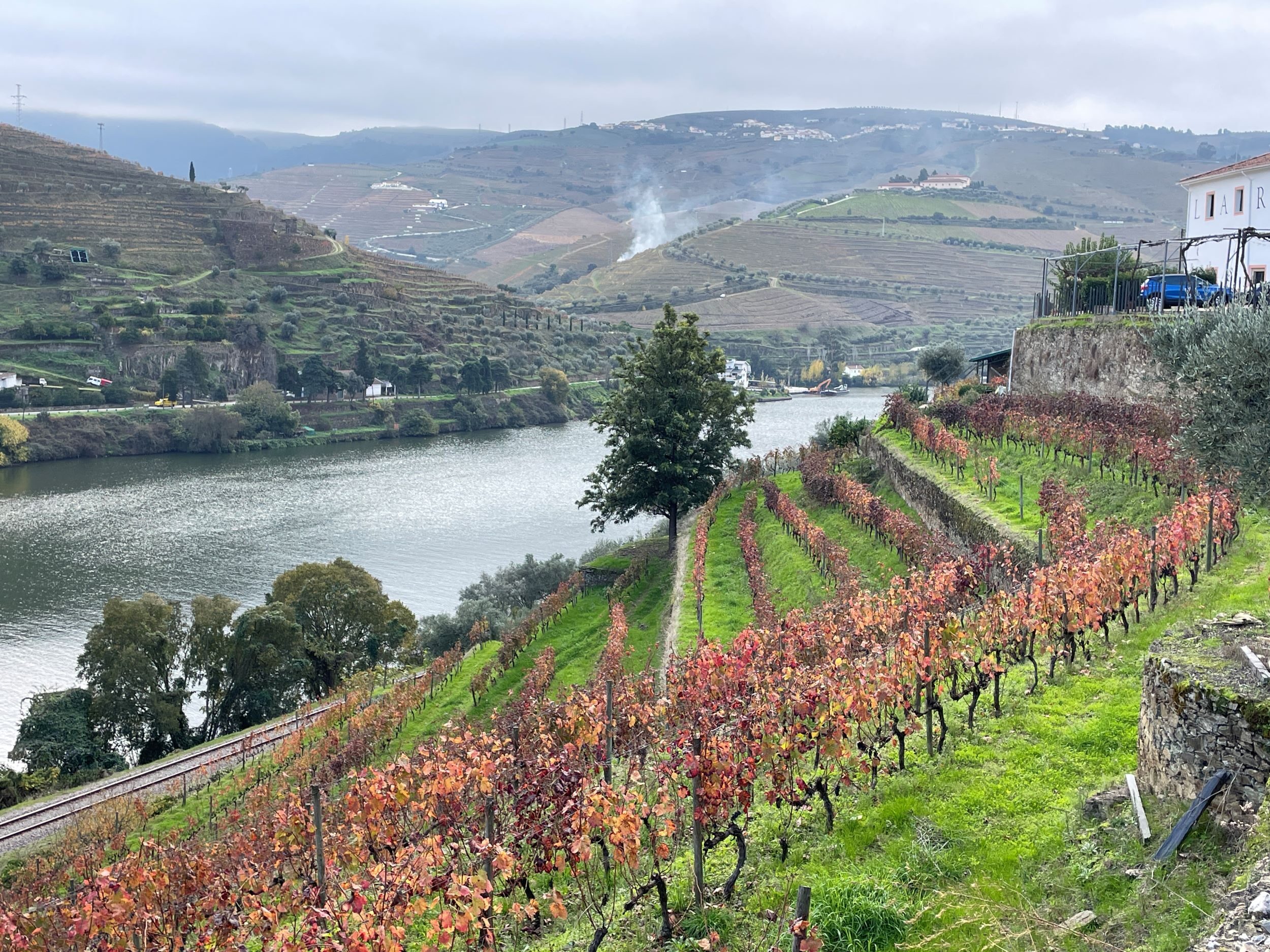 Quinta de la Rosa vineyard